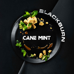 BlackBurn Cane Mint