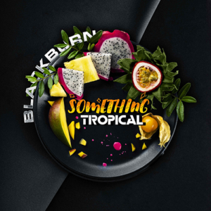 BlackBurn Something Tropical