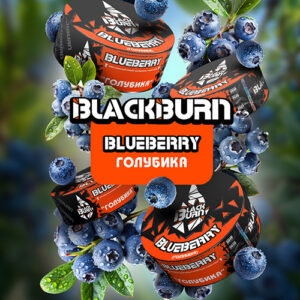 BlackBurn Blueberry