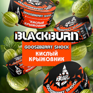 BlackBurn Gooseberry Shock