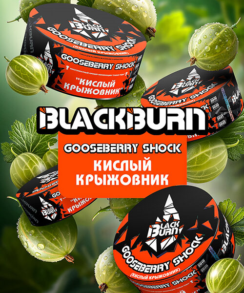 BlackBurn Gooseberry Shock