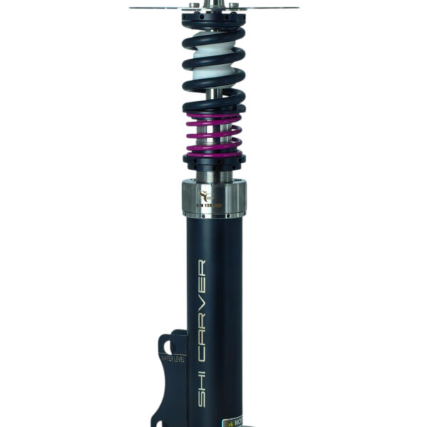 Static Final-Black violet