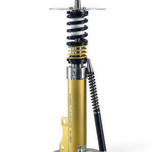 Static Final-Black gold