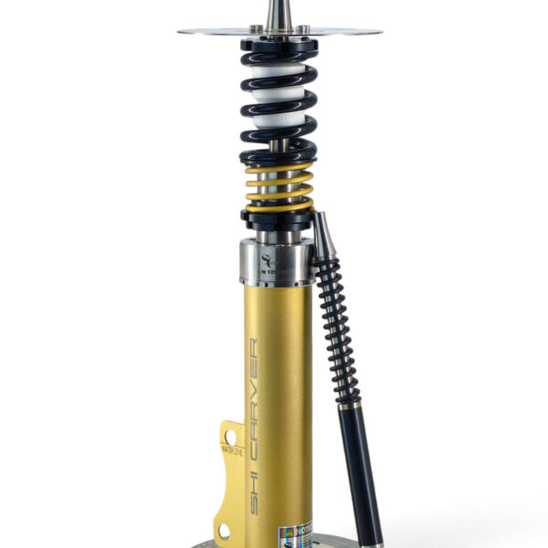 Static Final-Black gold